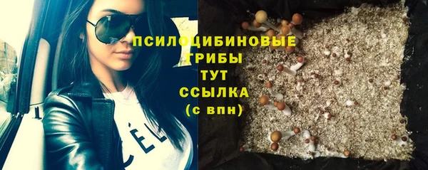 синтетический гашиш Алексин