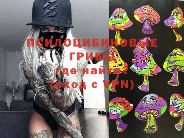 прущие грибы Алексеевка