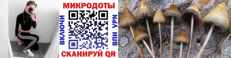 omg маркетплейс  нарко площадка какой сайт  Глазов  Псилоцибиновые грибы Psilocybe  наркошоп 